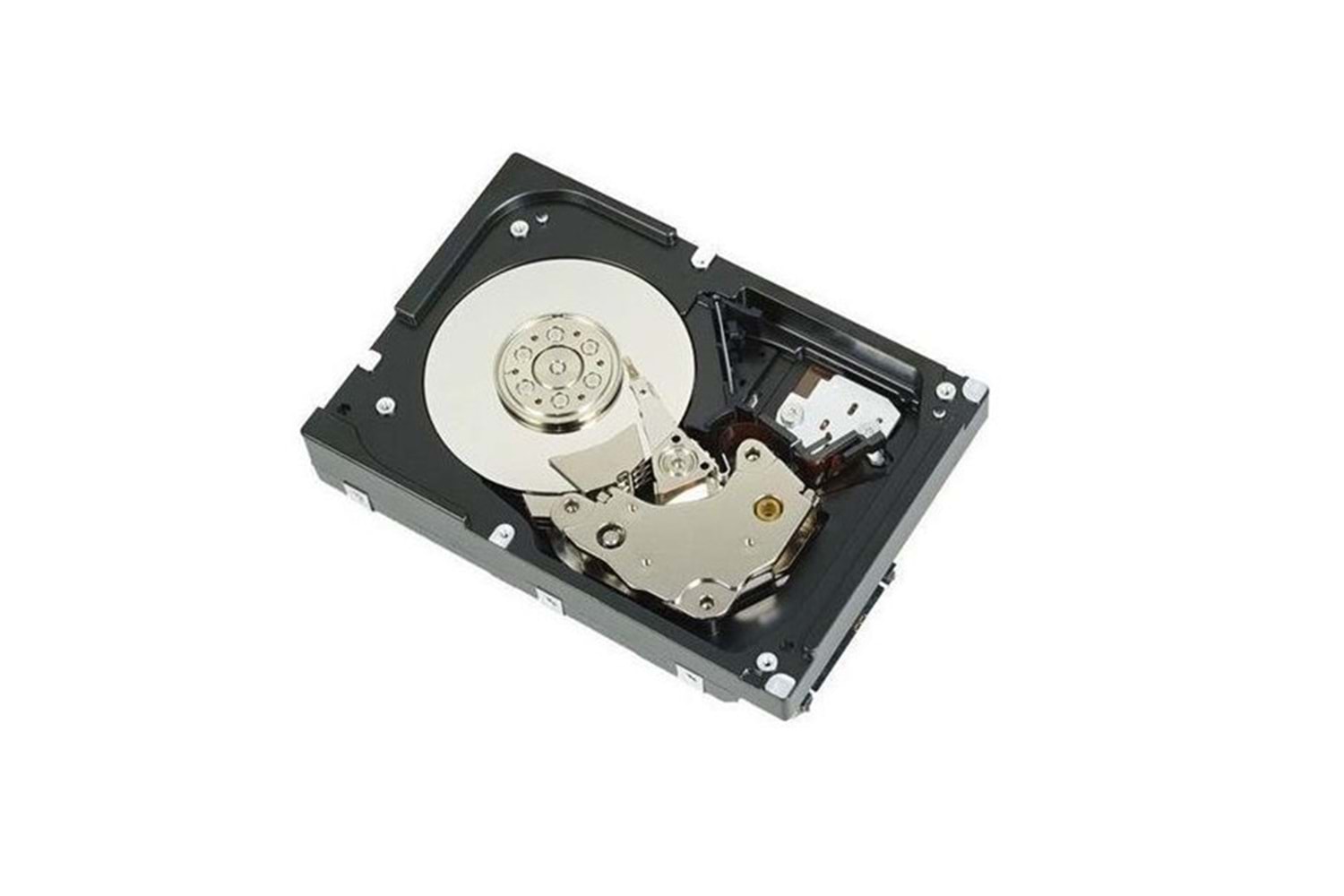 DELL 3,5