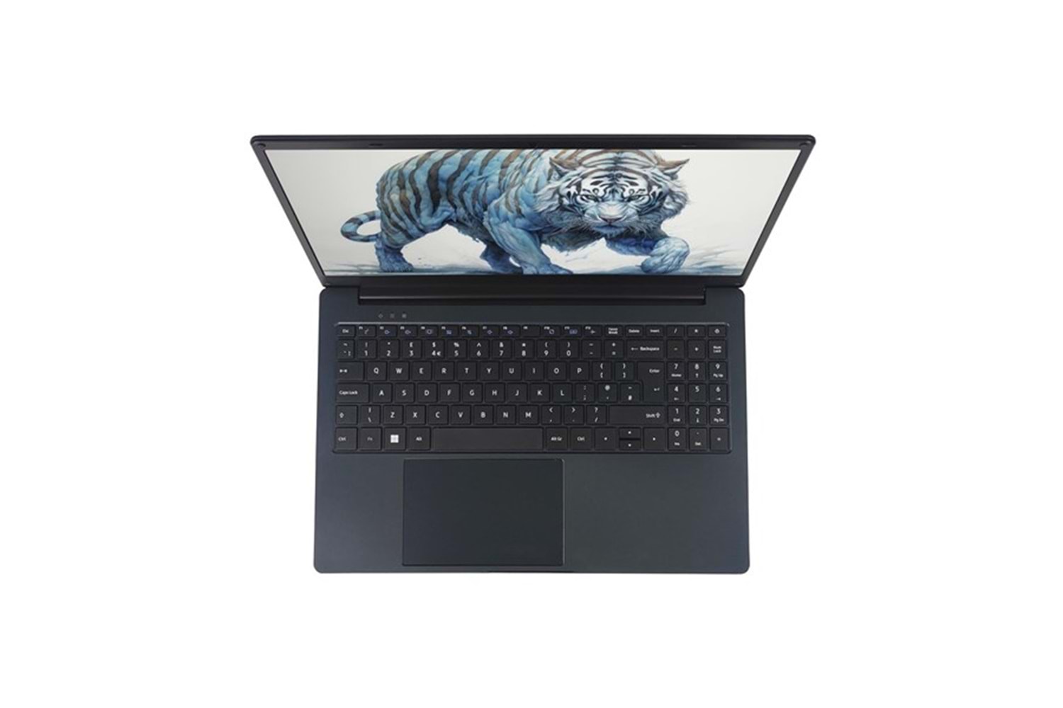 QUADRO 15.6