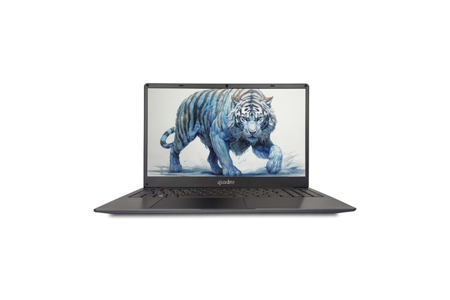 QUADRO 15.6