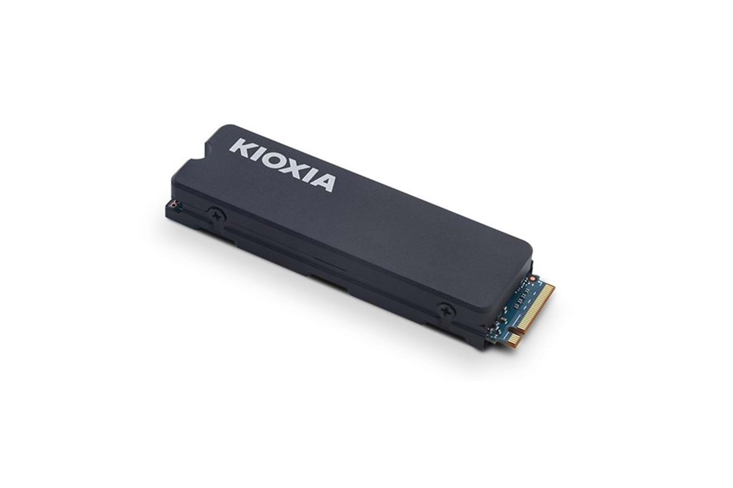 KIOXIA 1TB EXCERIA LSC11K1T02G8 6200-4900MB/s M2 NVME GEN4 DİSK SOĞUTUCULU