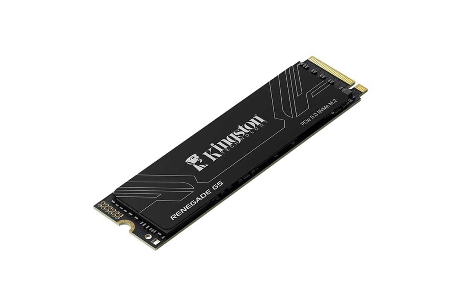 KINGSTON 1TB RENEGADE G5 SRNG2S/1T0 14200-11000MB/s M2 NVME GEN5 DİSK