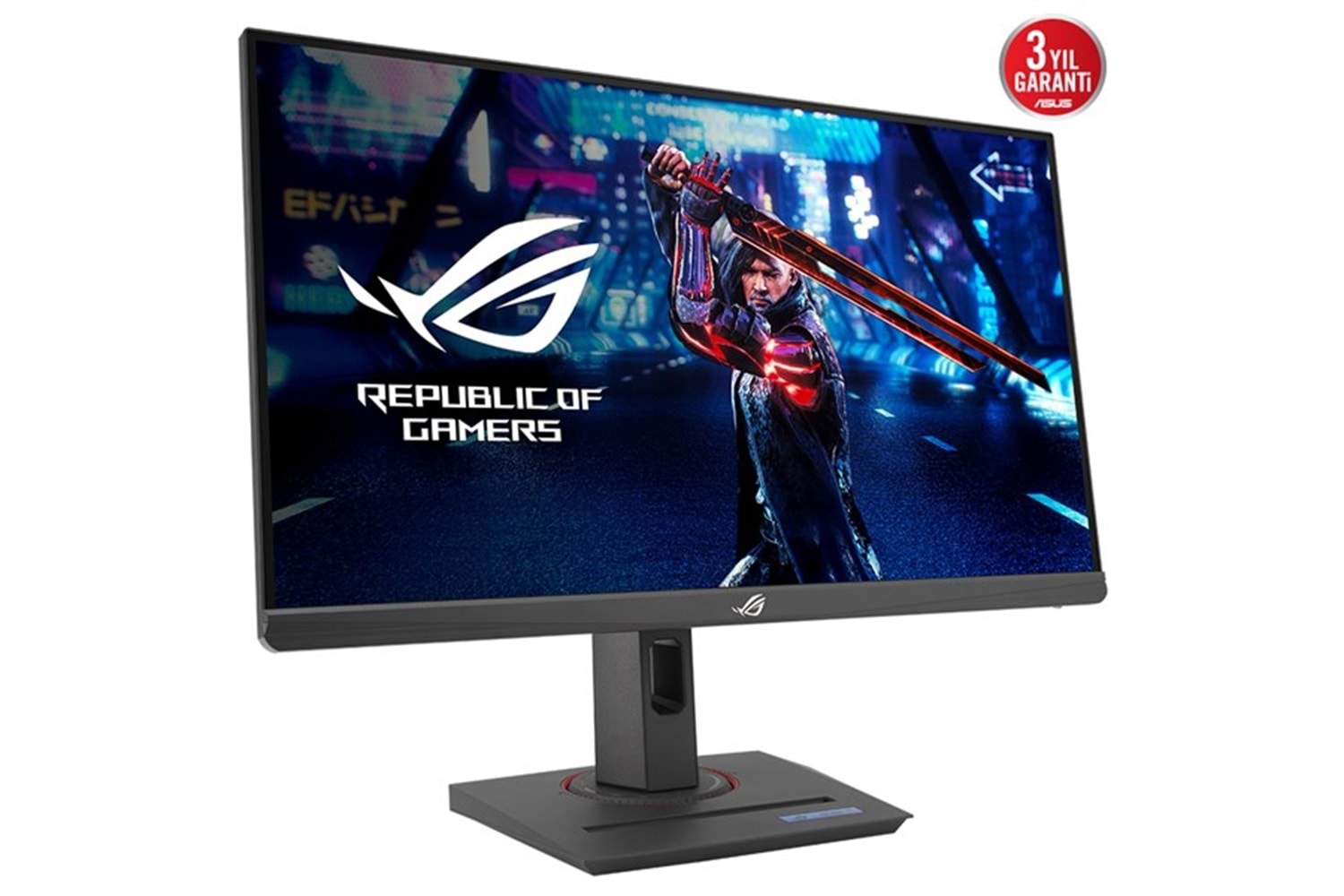 ASUS 24.5