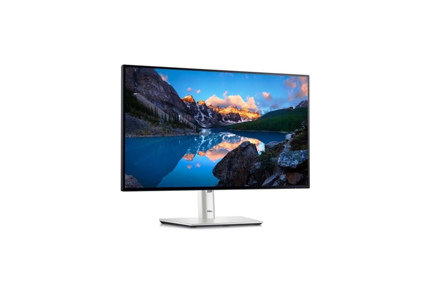 DELL 23.8