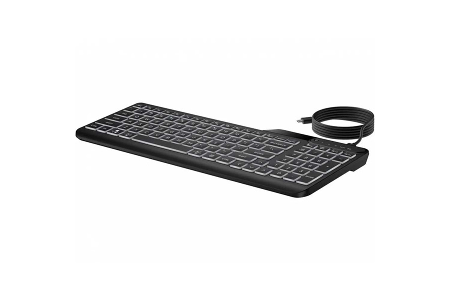 HP 405 7N7C1AA Aydınlatmalı Usb Türkçe Klavye - Siyah
