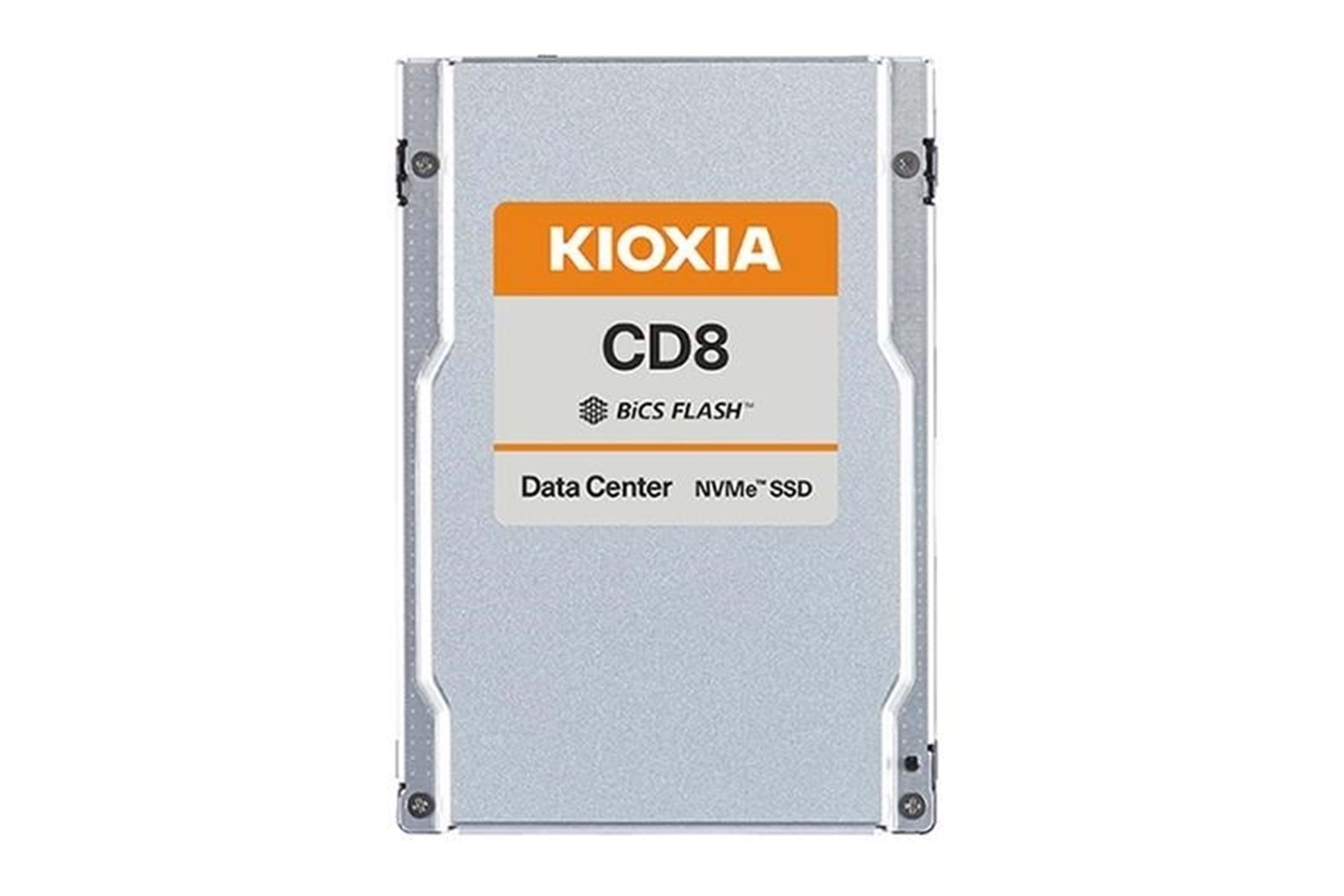 KIOXIA 960GB CD8-R KCD8XRUG960G ENTREPRISE PCIE NVME GEN4 DİSK