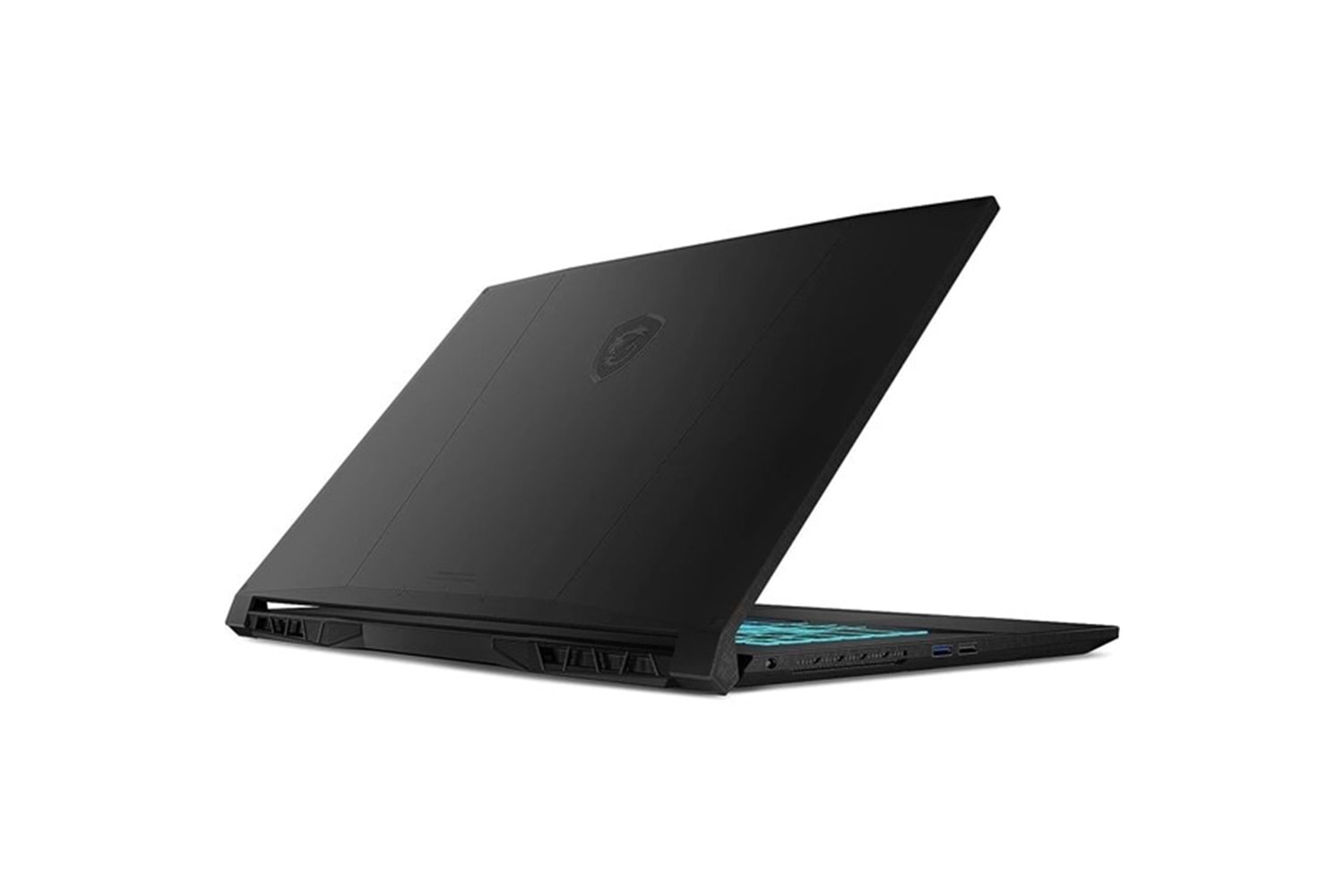 MSI 17.3