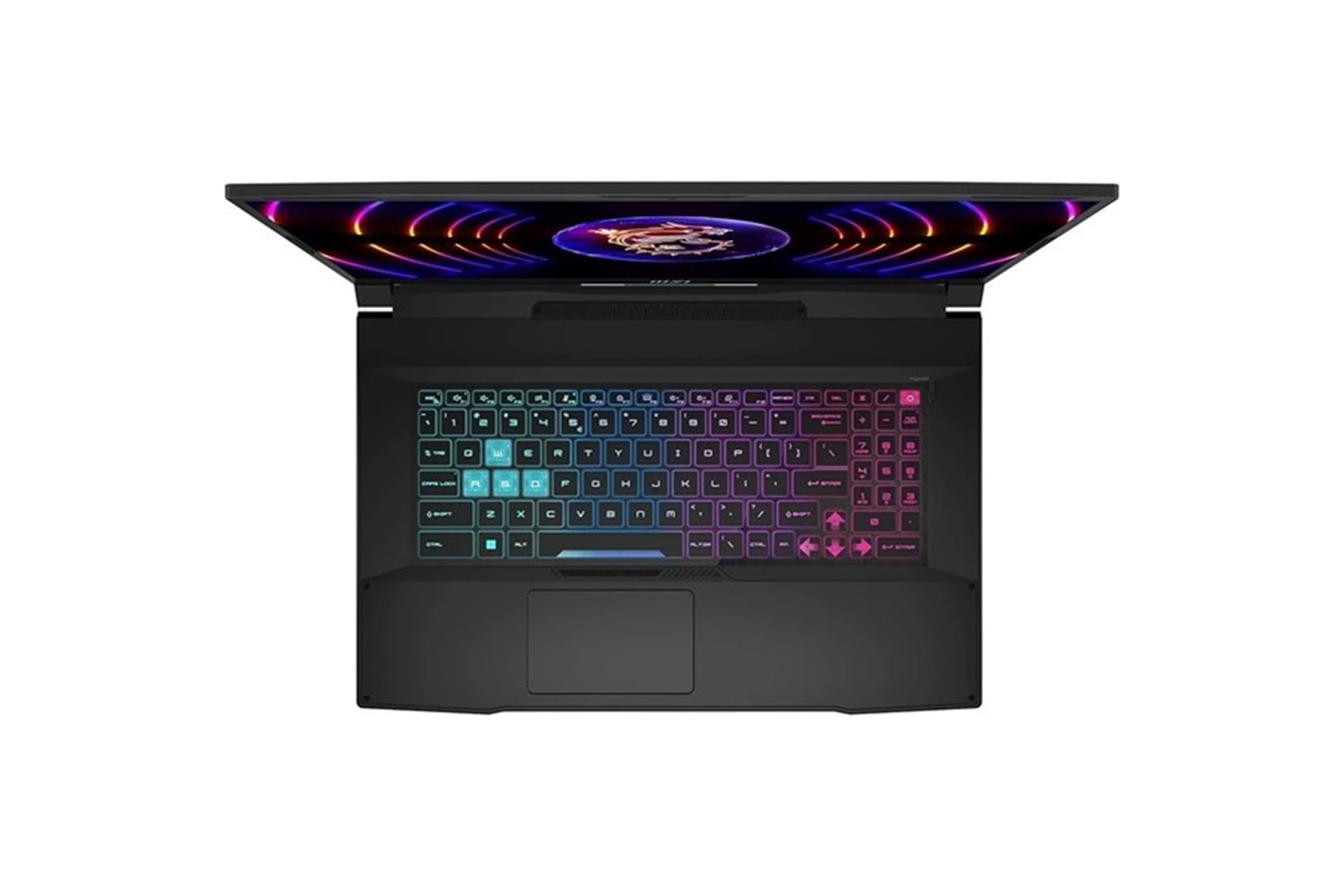 MSI 17.3