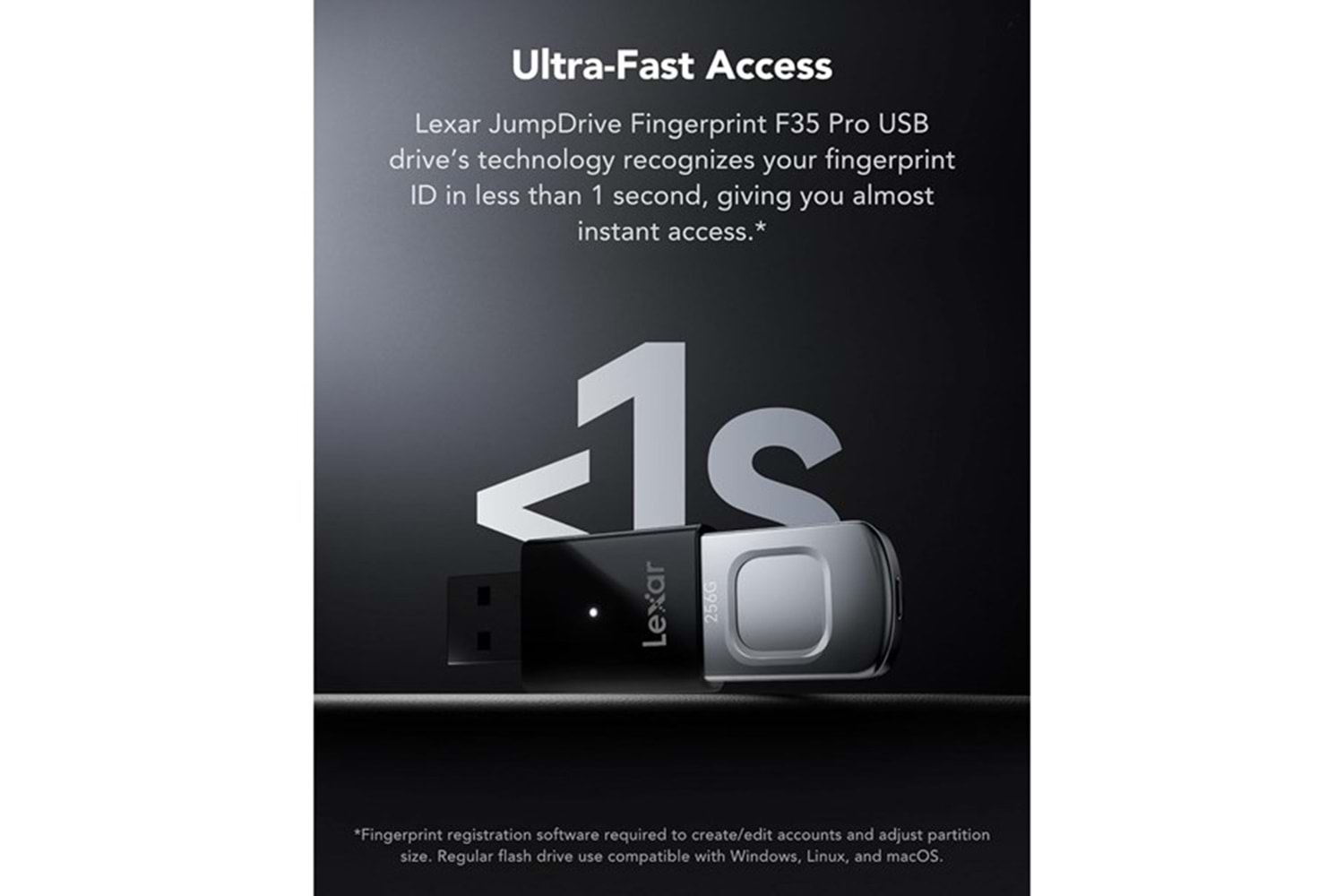 LEXAR 256GB JUMP DRIVE FINGERPRINT F35 PRO LJDF35P256G-RNBNG USB 3.2 BELLEK