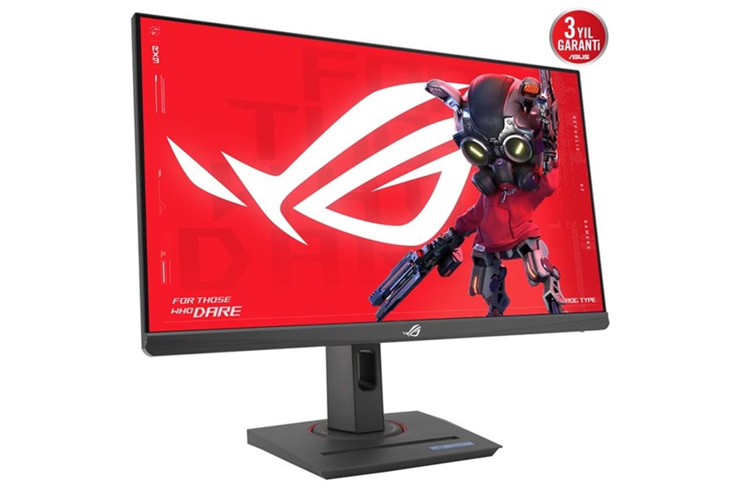 ASUS 24.5