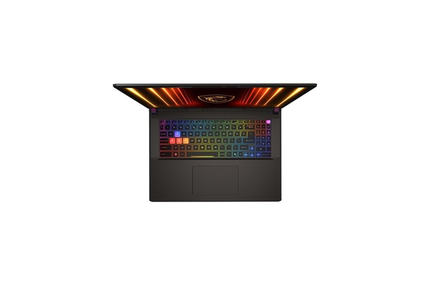 MSI 17