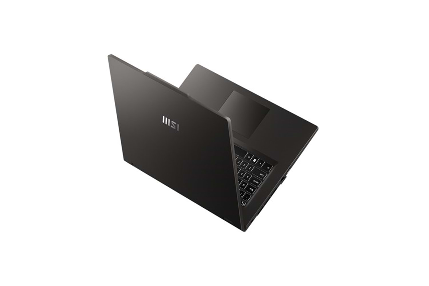 MSI 17.3