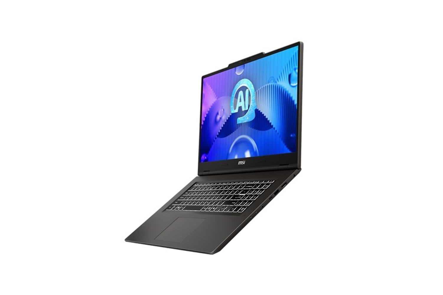 MSI 17.3