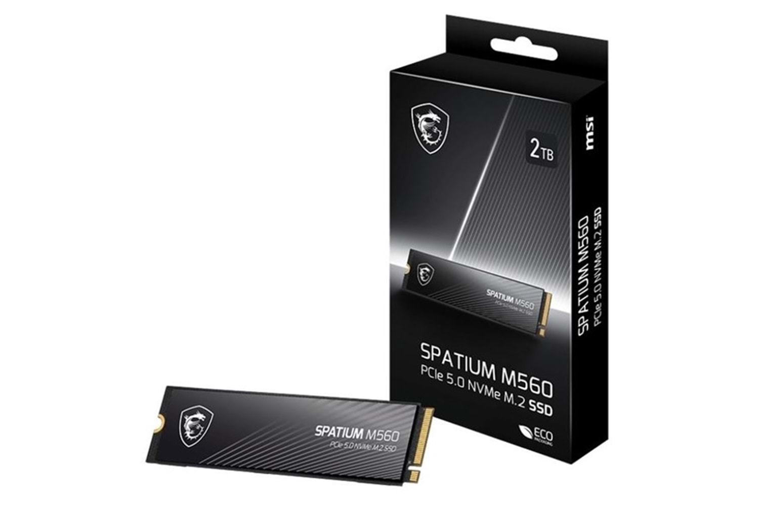 MSI 1TB SPATIUM M560 10200-8400MB/s M2 NVME GEN5 DİSK