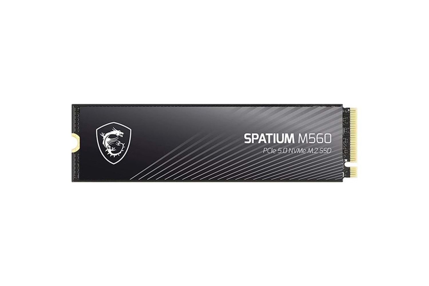 MSI 1TB SPATIUM M560 10200-8400MB/s M2 NVME GEN5 DİSK