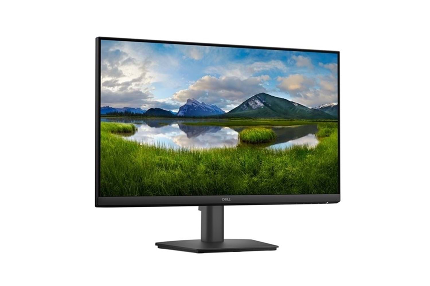 DELL 23.8