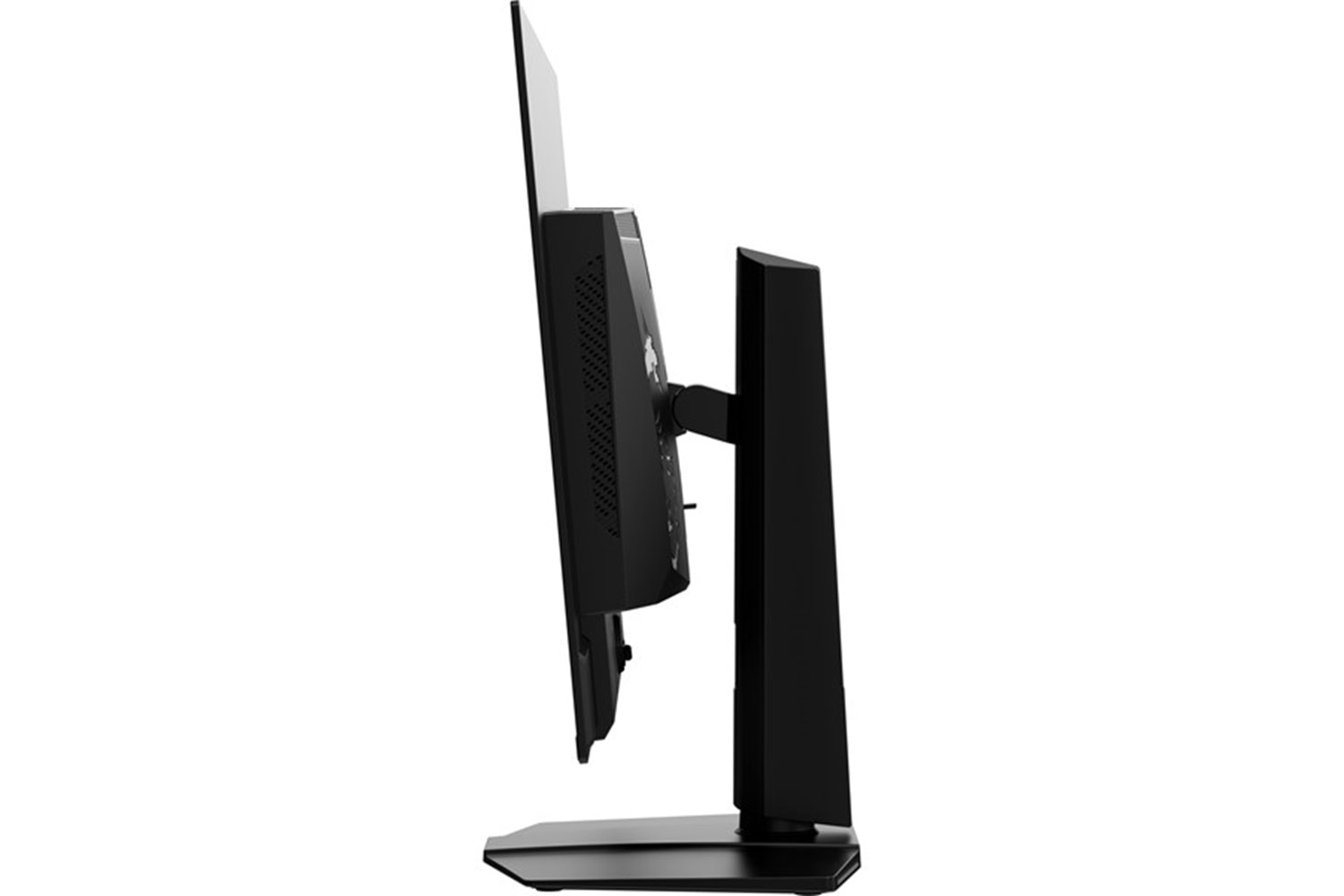 MSI 31.5