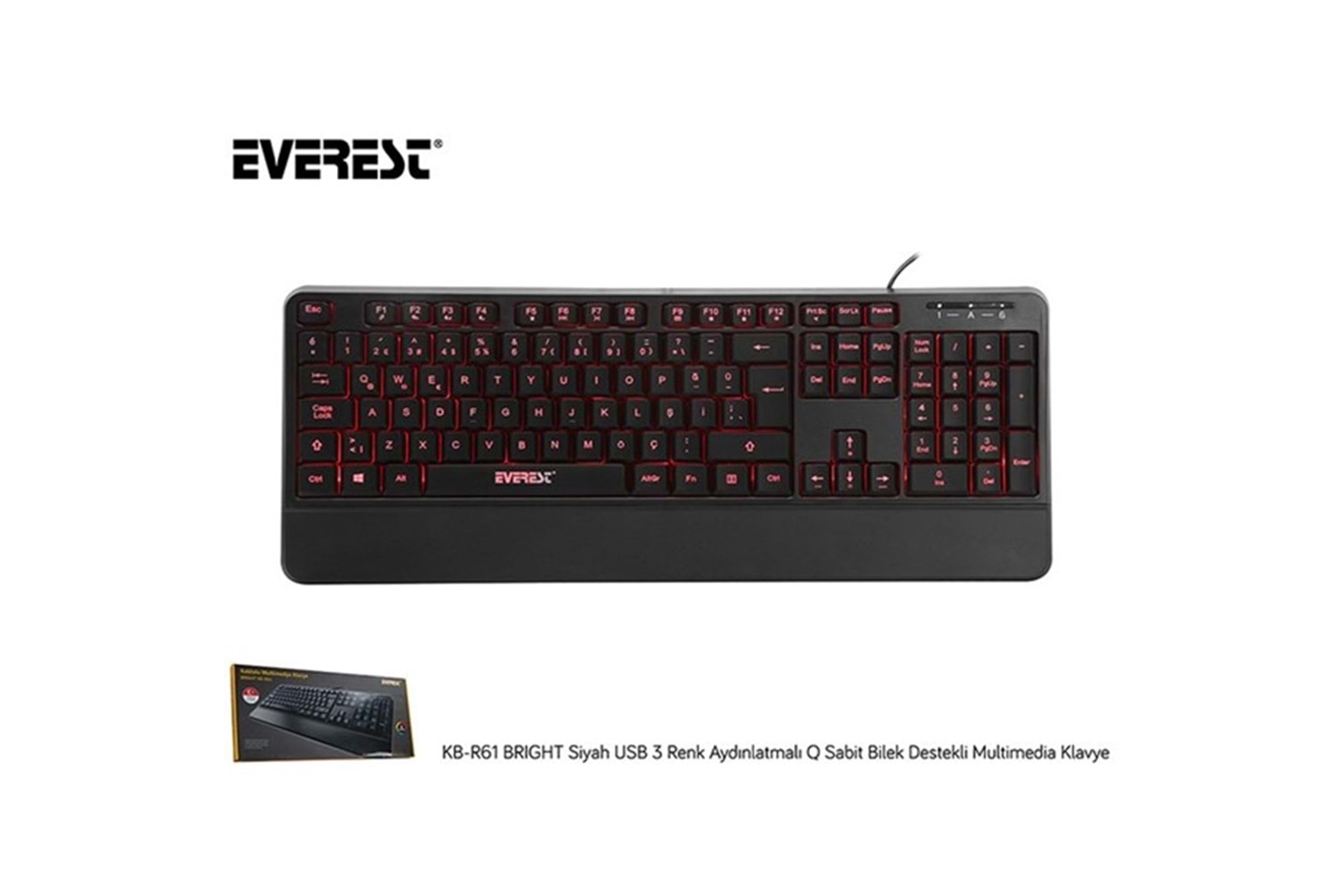 Everest KB-R61 BRIGHT Siyah USB 3 Renk Aydınlatmalı Q Sabit Bilek Destekli Multimedia Klavye