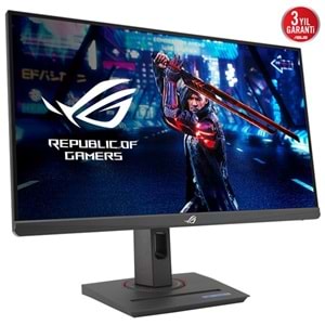 ASUS 24.5