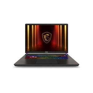 MSI 17