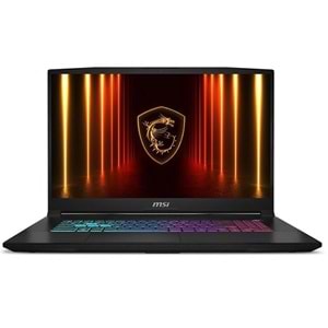 MSI 17.3