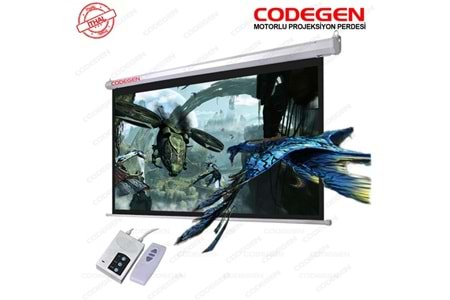 CODEGEN EX30 300x225 Motorlu Projeksiyon Perdesi