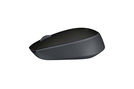 LOGITECH M171 Kablosuz Optic Siyah Mouse 910-004424