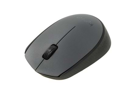 LOGITECH M170 Kablosuz Optic Siyah Mouse 910-004642