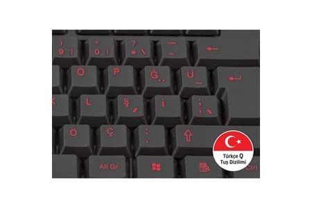 EVEREST USB Trk Multimedya Klavye - Mouse Set KM-6825