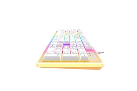 NORTH Paladin Q Trk RGB Ledli / Mekanik Hisli Beyaz Gaming Klavye