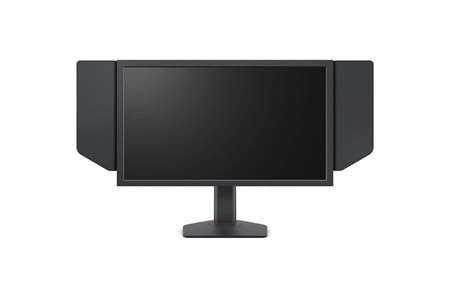 BENQ 24.1