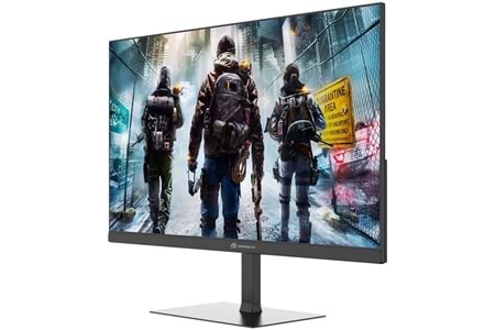 GAMEBOOSTER 23.8