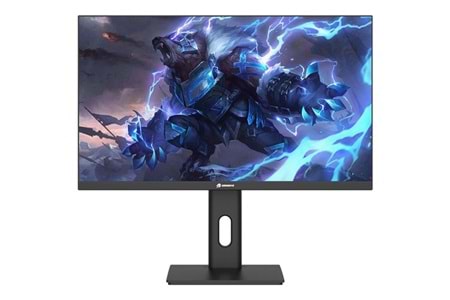 GAMEBOOSTER 24.5