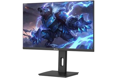 GAMEBOOSTER 24.5