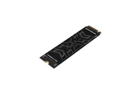 KINGSTON 4TB RENEGADE SRNGD/4000G 7300-7000MB/s M2 NVME GEN4 DİSK