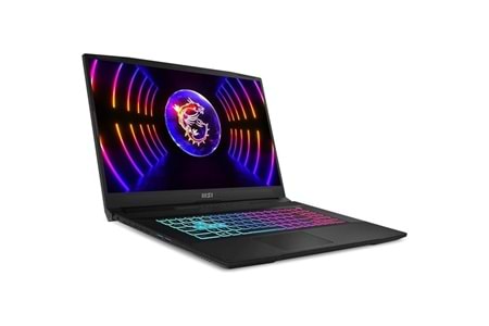 MSI 17.3