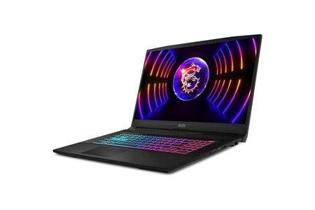 MSI 17.3