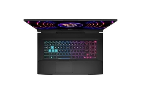 MSI 17.3