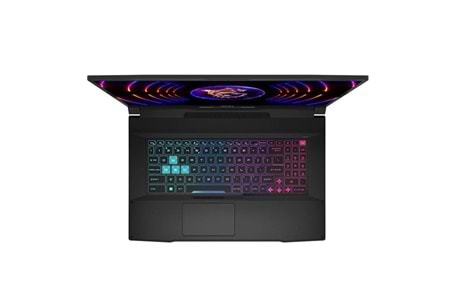MSI 17.3