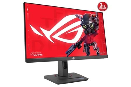 ASUS 24.5