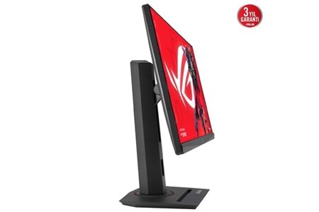 ASUS 24.5