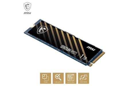 MSI 1TB SPATIUM M371 2350-1700MB/s M2 NVME GEN3 DİSK