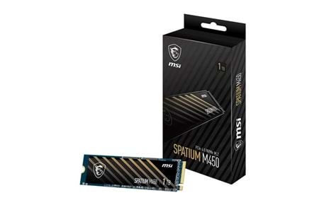 MSI 1TB SPATIUM M450 3400-2400MB/s M2 NVME GEN DİSK