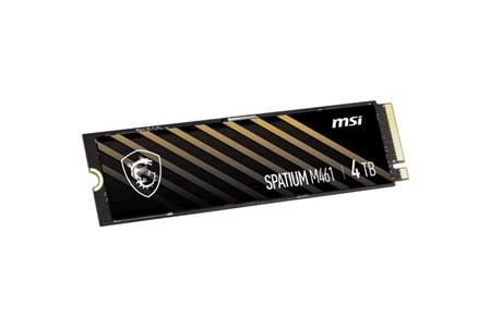 MSI 4TB SPATIUM M461 5000-4200MB/s M2 NVME GEN4 DİSK