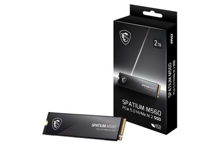 MSI 1TB SPATIUM M560 10200-8400MB/s M2 NVME GEN5 DİSK