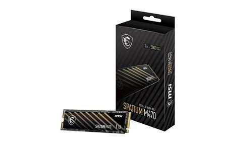 MSI 1TB SPATIUM M470 PRO 6000-4500MB/s M2 NVME GEN4 DİSK