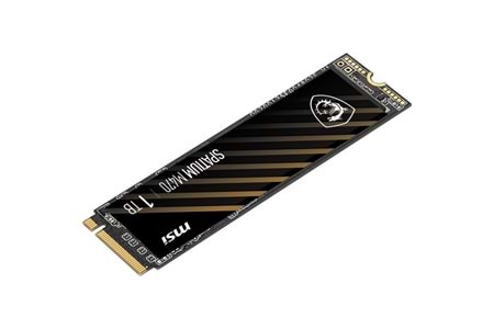 MSI 1TB SPATIUM M470 PRO 6000-4500MB/s M2 NVME GEN4 DİSK