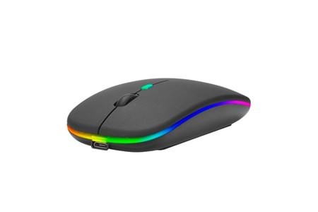 Everest SM-BT11 Usb Siyah 2in1 Bluetooth ve 2.4GHz Şarj Edilebilir Kablosuz Mouse