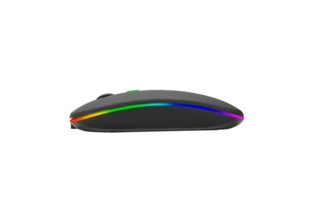 Everest SM-BT11 Usb Siyah 2in1 Bluetooth ve 2.4GHz Şarj Edilebilir Kablosuz Mouse