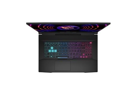 MSI 17.3