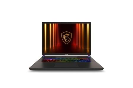 MSI 17